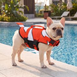 Paws Circle Clownfish Life Vest lifestyle dog swim image 2