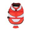 Paws Circle Clownfish Life Vest top view