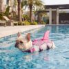 Paws Circle Mermaid Fin Life Vest lifestyle dog swim image 1