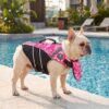 Dog swimming in pool wearing patterned Paws Circle ChinGuard life vest