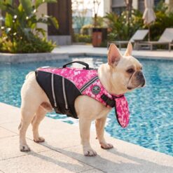 Dog swimming in pool wearing patterned Paws Circle ChinGuard life vest
