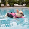 Poolside patterned dog life vest with chin support by Paws Circle