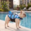 Paws Circle Shark Camo Swim Life Vest lifestyle dog swim image 4