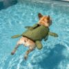 Green Paws Circle Turtle Swim Life Vest product image on white background