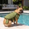Paws Circle Turtle Swim Life Vest lifestyle dog swim image 2