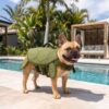 Paws Circle Turtle Swim Life Vest lifestyle dog swim image 4