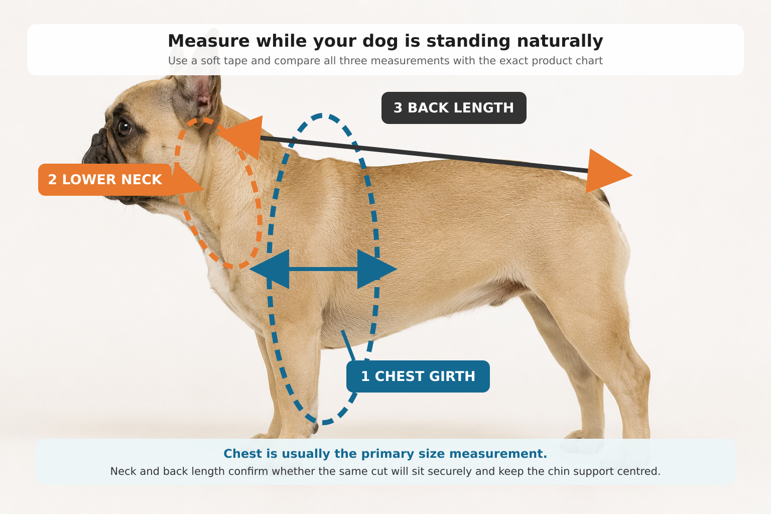 Dog life jacket measurement guide showing chest girth, lower neck and back length