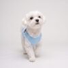 Dog model wearing the Paws Circle Cherry Bow Sleeveless Dog Tee