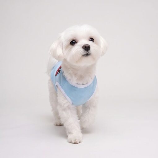 Dog model wearing the Paws Circle Cherry Bow Sleeveless Dog Tee