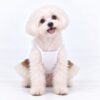 Paws Circle Golden Heart Tutu Dog Dress product photo