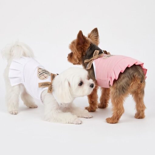 Paws Circle Heritage Heart Ribbon Dog Dress product photo