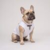 Paws Circle Leopard Cross Sleeveless Dog Tee product photo