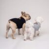 Paws Circle Leopard Cross Sleeveless Dog Tee product photo
