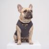Paws Circle Leopard Cross Sleeveless Dog Tee product photo