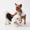 Paws Circle Leopard Cross Tutu Dog Dress product photo