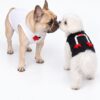 Paws Circle Little Pony Sleeveless Dog Tee product photo