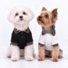 Paws Circle Monogram Trim Dog Polo Tee product photo
