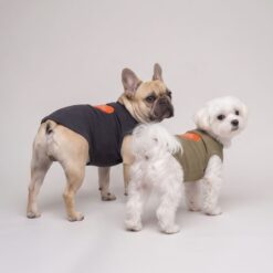 Dog model wearing the Paws Circle Paris Heart Sleeveless Dog Tee