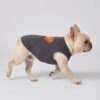 Paws Circle Paris Heart Sleeveless Dog Tee product photo