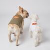 Paws Circle Paris Heart Sleeveless Dog Tee product photo