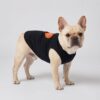Paws Circle Paris Heart Sleeveless Dog Tee product photo