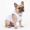 Dog model wearing the Paws Circle Racquet Club Sleeveless Dog Tee