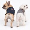 Paws Circle Racquet Club Sleeveless Dog Tee product photo