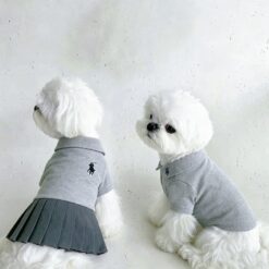 Dog model wearing the Paws Circle Rider Club Dog Polo Dress & Tee