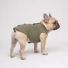 Dog model wearing the Paws Circle Studded Cross Sleeveless Dog Tee