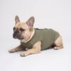 Paws Circle Studded Cross Sleeveless Dog Tee product photo