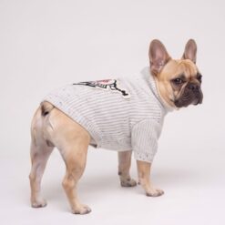 Dog model wearing the Paws Circle Alpine Crest Half-Zip Knit Dog Sweater