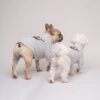Paws Circle Alpine Crest Half-Zip Knit Dog Sweater product detail