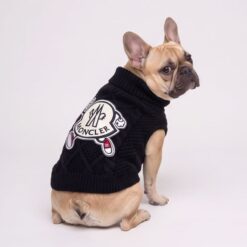 Dog model wearing the Paws Circle Alpine Crest Cable-Knit Dog Sweater
