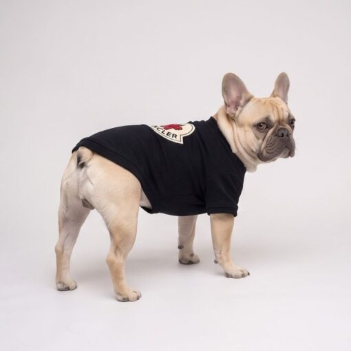 Dog model wearing the Paws Circle Alpine Crest Logo Dog Sweatshirt