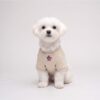 Paws Circle Alpine Crest Logo Dog Sweatshirt product detail