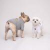 Paws Circle Alpine Crest Logo Dog Sweatshirt product detail
