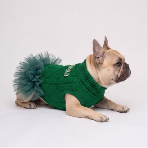 Dog model wearing the Paws Circle Boutique Cable-Knit Tutu Dog Dress