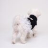 Paws Circle Boutique Cable-Knit Tutu Dog Dress product detail