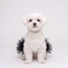 Paws Circle Boutique Cable-Knit Tutu Dog Dress product detail