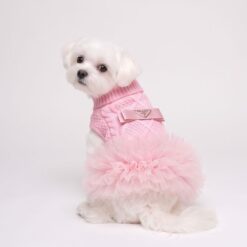 Dog model wearing the Paws Circle Triangle Ribbon Cable-Knit Tutu Dog Dress