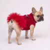 Paws Circle Triangle Ribbon Cable-Knit Tutu Dog Dress product detail