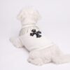 Dog model wearing the Paws Circle Fringed Cross Dog Sweatshirt