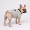 Paws Circle Fringed Cross Dog Sweatshirt product detail