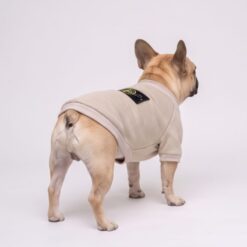 Dog model wearing the Paws Circle Compass Badge Dog Sweatshirt