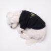 Paws Circle Compass Badge Dog Sweatshirt product detail
