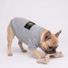 Paws Circle Compass Badge Dog Sweatshirt product detail