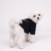 Paws Circle Compass Badge Dog Sweatshirt product detail
