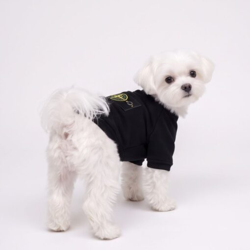 Paws Circle Compass Badge Dog Sweatshirt product detail