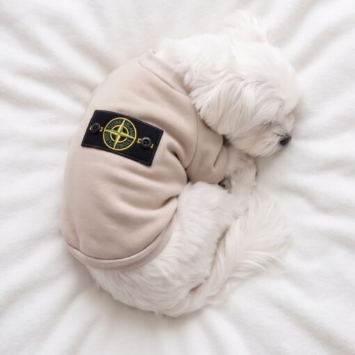 Paws Circle Compass Badge Dog Sweatshirt product detail