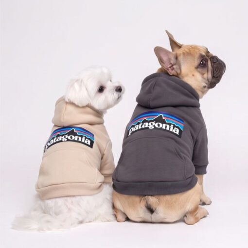 Dog model wearing the Paws Circle Adventure Mountain Logo Dog Hoodie